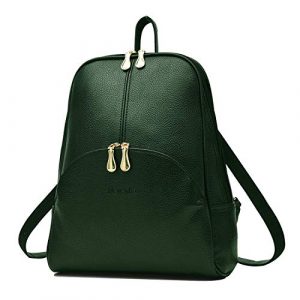 backpack-shoulder-bag-purse